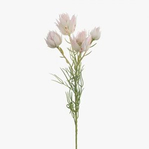 Blushing Bride Spray Cream Pink 53cml  Finely detailed this artificial blushing bride spray is amazingly realistic. With minimal maintenance this faux stem can offer enduring beauty and bring warmth and vibrancy to your home or interior space. Style this blushing bride spray simply in a beautiful bunch on their own or create an arrangement from Floral Interiors huge variety of artificial flowers for impact.