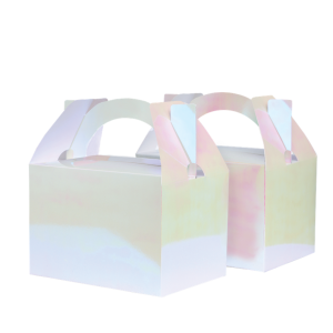 Paper Party Little Lunch Box Iridescent #6231IRP - 10pk(Pkgd.)