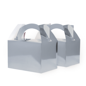 Paper Party Little Lunch Box Metallic Silver #6231MSP - 10pk(Pkgd.)