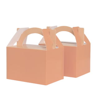 Paper Party Little Lunch Box Peach #6231PHP - 10pk(Pkgd.)