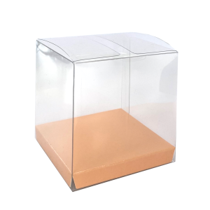 Paper Party Clear Favour Box Peach #6250PHP - 10pk(Pkgd.)