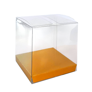 Paper Party Clear Favour Box Tangerine #6250TGP - 10pk(Pkgd.)
