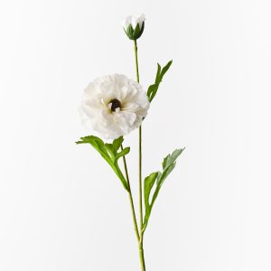 Ranunculus Spray White 60cml #FI10403WH - Each (Upkgd.) Ranunculus Spray is a graceful and realistic portrayal of this beloved flower in various stages of bloom. This artificial spray in White showcases both a fully bloomed Ranunculus flower and a delicate bud, crafted to capture the natural beauty and detail of each stage.