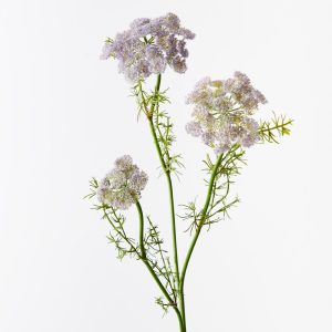 Queen Annes Lace Spray Lavender 73cml #FI10410LV - Each (Upkgd.) Introducing our Lavender Queen Anne's Lace Spray, a serene and graceful addition to your floral decor. This artificial spray features clusters of blooms in calming lavender hues, capturing the natural beauty and tranquillity of Queen Anne's Lace flowers. Perfect for creating a soothing atmosphere and adding a touch of botanical elegance to your home or event, this spray offers timeless beauty and effortless allure.