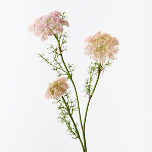 Queen Annes Lace Spray Pink 73cml #FI10410PK - Each (Upkgd.) Introducing our Pink Queen Anne's Lace Spray, a whimsical and romantic accent for your floral arrangements. This artificial spray showcases clusters of delicate blooms in soft, blush pink tones, reminiscent of a summer garden in full bloom. Perfect for adding a hint of subtle colour and charm to your space, this spray brings a gentle and elegant touch to any setting.