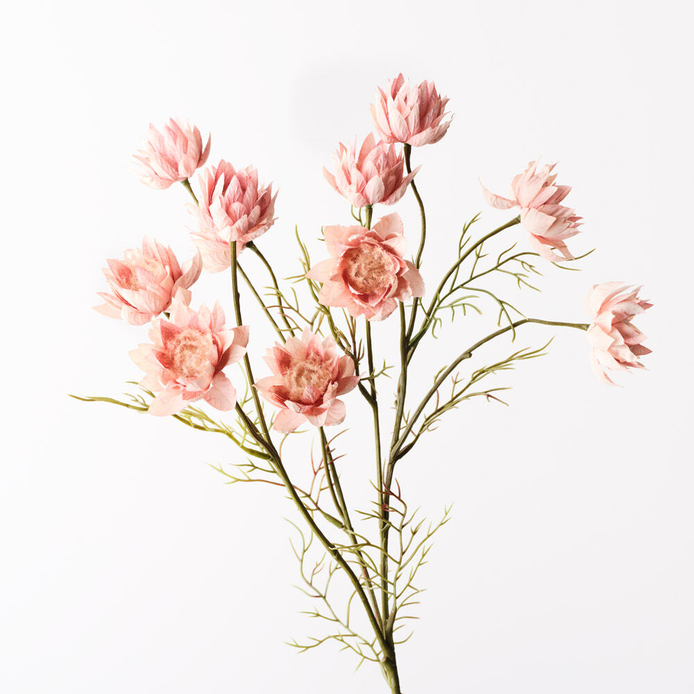 Blushing Bride Spray Dusty Pink 72cml Add soft elegance to any arrangement with our Dusty Pink Blushing Bride Spray. This artificial stem captures the delicate charm of the Blushing Bride flower, featuring creamy petals with subtle blush tones and finely textured foliage.