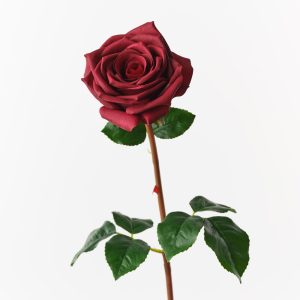 Fresh Touch Rose Olivia Burgundy 72cml  The Olivia Rose offers a fresh, lifelike touch with its high-quality petals and elegant design. Perfect for wedding styling, events, and a variety of other arrangements, it adds a timeless, romantic flair to any occasion. Its quality ensures it looks stunning and realistic in every setting.