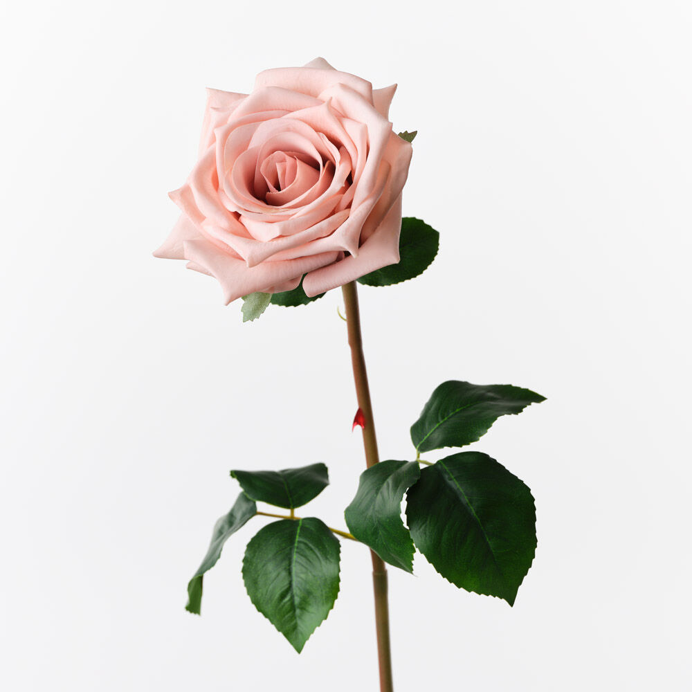 Fresh Touch Rose Olivia Dusty Pink The Olivia Rose offers a fresh, lifelike touch with its high-quality petals and elegant design. Perfect for wedding styling, events, and a variety of other arrangements, it adds a timeless, romantic flair to any occasion. Its quality ensures it looks stunning and realistic in every setting.