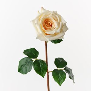 Fresh Touch Rose Olivia Light Yellow The Olivia Rose offers a fresh, lifelike touch with its high-quality petals and elegant design. Perfect for wedding styling, events, and a variety of other arrangements, it adds a timeless, romantic flair to any occasion. Its quality ensures it looks stunning and realistic in every setting.