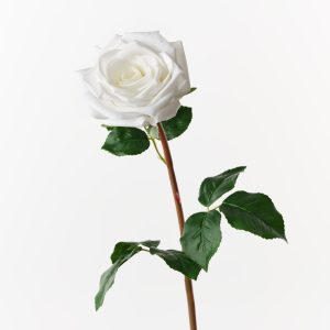 Fresh Touch Rose Olivia White 72cml  The Olivia Rose offers a fresh, lifelike touch with its high-quality petals and elegant design. Perfect for wedding styling, events, and a variety of other arrangements, it adds a timeless, romantic flair to any occasion. Its quality ensures it looks stunning and realistic in every setting.