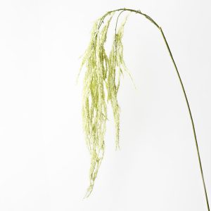 Amaranthus Spray Cream Green 172cml  Bring colour into your space with Australia's most realistic artificial flowers. Style this Amaranthus Spray simply in a beautiful bunch on their own or create an arrangement from Floral Interiors huge variety of artificial flowers.