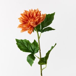 Dahlia Orange 54cml  Bring the garden indoors with this striking artificial dahlia, unbelievably realistic it will feel like you have just been to the market and picked a fresh bunch. Style this dahlia effortlessly in a beautiful bunch on their own or create an arrangement from Floral Interiors huge variety of artificial flowers for impact. Being artificial, this dahlia is easy to care for and simple to style in your interior space. Keep out of direct sunlight for long lasting beauty.  This artificial dahlia is in our ‘Fresh Touch’ range which means the flower petals and heads have a realistic soft "feel", almost natural.