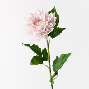 Dahlia Soft Pink 54cml  Bring the garden indoors with this striking artificial dahlia, unbelievably realistic it will feel like you have just been to the market and picked a fresh bunch. Style this dahlia effortlessly in a beautiful bunch on their own or create an arrangement from Floral Interiors huge variety of artificial flowers for impact. Being artificial, this dahlia is easy to care for and simple to style in your interior space. Keep out of direct sunlight for long lasting beauty.  This artificial dahlia is in our ‘Fresh Touch’ range which means the flower petals and heads have a realistic soft "feel", almost natural.