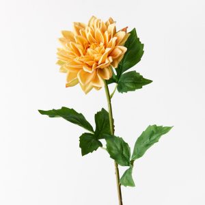 Dahlia Yellow 54cml  Bring the garden indoors with this striking artificial dahlia, unbelievably realistic it will feel like you have just been to the market and picked a fresh bunch. Style this dahlia effortlessly in a beautiful bunch on their own or create an arrangement from Floral Interiors huge variety of artificial flowers for impact. Being artificial, this dahlia is easy to care for and simple to style in your interior space. Keep out of direct sunlight for long lasting beauty.  This artificial dahlia is in our ‘Fresh Touch’ range which means the flower petals and heads have a realistic soft "feel", almost natural.