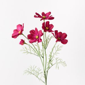 Cosmos Spray Burgundy 62cml  Brighten up your interior space with this spring-blooming faux Cosmos in burgundy. Unbelievably realistic with their fresh touch you wouldn’t even think they’re faux! Style this artificial stem simply in a beautiful bunch on their own or create an arrangement from Floral Interiors huge variety of artificial flowers for impact. With minimal maintenance this faux stem can offer lasting beauty, keep out of direct sunlight.