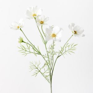 Cosmos Spray White 62cml  Brighten up your interior space with this spring-blooming faux Cosmos in white. Unbelievably realistic with their fresh touch you wouldn’t even think they’re faux! Style this artificial stem simply in a beautiful bunch on their own or create an arrangement from Floral Interiors huge variety of artificial flowers for impact. With minimal maintenance this faux stem can offer lasting beauty, keep out of direct sunlight.
