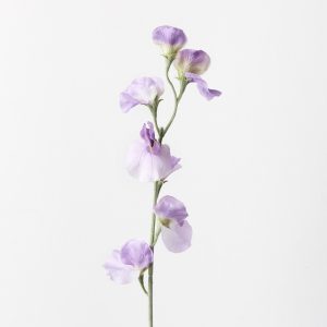 Sweet Pea Spray Lavender 64cml Bring a dash of colour to your interior space with this gorgeous faux sweetpea spray. Easily maintained this beautiful artificial flower spray will bring lasting beauty into your home. Create a one of a kind artificial arrangement mixing this sweetpea with other sprays or place in a decorative vase on its own. For longer lasting faux flower sprays keep out of direct sunlight.