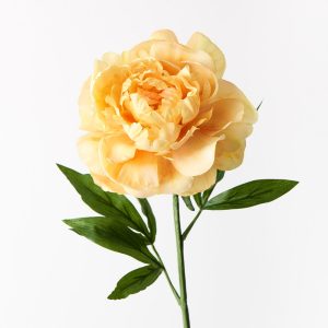 Peony Yellow 63cml  Bring a dash of colour to your interior space with this gorgeous faux peony stem. Easily maintained this beautiful artificial flower stem will bring lasting beauty into your home. Create a one of a kind artificial arrangement mixing this peony in yellow with other stems or place in a decorative vase on its own. For longer lasting faux flower stems keep out of direct sunlight.