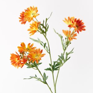 Daisy Spray Orange 73cml Easily maintained this gorgeous daisy spray will bring lasting beauty into your home. Create a one of a kind artificial arrangement mixing with other faux stems or place in a decorative vase on its own. Made from the finest of materials this faux daisy spray in orange looks amazingly real. Being artificial, this spray will offer enduring beauty with minimal maintenance, keep out of direct sunlight.