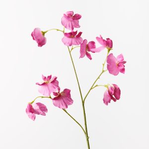 Sweet Pea Spray Fuchsia 60cml Bring a dash of colour to your interior space with this gorgeous faux sweet pea spray in fuschia. Easily maintained this beautiful artificial flower spray will bring lasting beauty into your home. Create a one of a kind artificial arrangement mixing this sweet pea with other sprays or place in a decorative vase on its own. For longer lasting faux flower sprays keep out of direct sunlight.  This artificial sweet pea spray is in our ‘Fresh Touch’ range which means the flower petals and heads have a realistic soft "feel", almost natural.