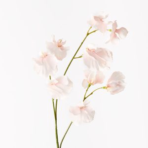 Sweet Pea Spray Soft Pink 60cml #FI9567SP - Each Bring a dash of colour to your interior space with this gorgeous faux sweet pea spray in soft pink. Easily maintained this beautiful artificial flower spray will bring lasting beauty into your home. Create a one of a kind artificial arrangement mixing this sweet pea with other sprays or place in a decorative vase on its own. For longer lasting faux flower sprays keep out of direct sunlight.  This artificial sweet pea spray is in our ‘Fresh Touch’ range which means the flower petals and heads have a realistic soft "feel", almost natural.