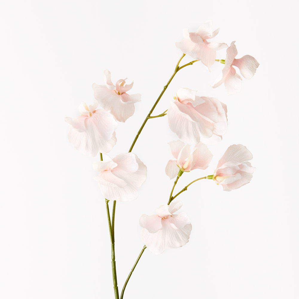 Sweet Pea Spray Soft Pink 60cml #FI9567SP - Each Bring a dash of colour to your interior space with this gorgeous faux sweet pea spray in soft pink. Easily maintained this beautiful artificial flower spray will bring lasting beauty into your home. Create a one of a kind artificial arrangement mixing this sweet pea with other sprays or place in a decorative vase on its own. For longer lasting faux flower sprays keep out of direct sunlight. This artificial sweet pea spray is in our ‘Fresh Touch’ range which means the flower petals and heads have a realistic soft "feel", almost natural.