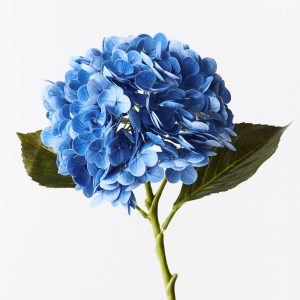 Hydrangea Blue Fresh Touch 49cml #FI9665BL - Each Bring warmth and vibrancy to your interior space with this gorgeous faux hydrangea. Easily maintained this gorgeous hydrangea flower stem will bring lasting beauty into your home or office space. Create a one of a kind arrangement mixing with other stems or place in a decorative vase on its own. For longer lasting artificial flower stems keep out of direct sunlight.  This artificial hydrangea is in our ‘Fresh Touch’ range which means the flower petals and heads have a realistic soft "feel", almost natural.