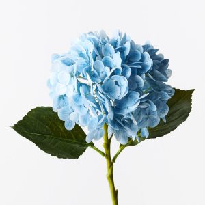 Hydrangea Light Blue Fresh Touch 49cml #FI9665LB - Each Bring warmth and vibrancy to your interior space with this gorgeous faux hydrangea. Easily maintained this gorgeous hydrangea flower stem will bring lasting beauty into your home or office space. Create a one of a kind arrangement mixing with other stems or place in a decorative vase on its own. For longer lasting artificial flower stems keep out of direct sunlight.  This artificial hydrangea is in our ‘Fresh Touch’ range which means the flower petals and heads have a realistic soft "feel", almost natural.