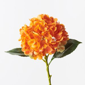 Hydrangea Orange Fresh Touch 49cml #FI9665OR - Each Bring warmth and vibrancy to your interior space with this gorgeous faux hydrangea. Easily maintained this gorgeous hydrangea flower stem will bring lasting beauty into your home or office space. Create a one of a kind arrangement mixing with other stems or place in a decorative vase on its own. For longer lasting artificial flower stems keep out of direct sunlight.  This artificial hydrangea is in our ‘Fresh Touch’ range which means the flower petals and heads have a realistic soft "feel", almost natural.