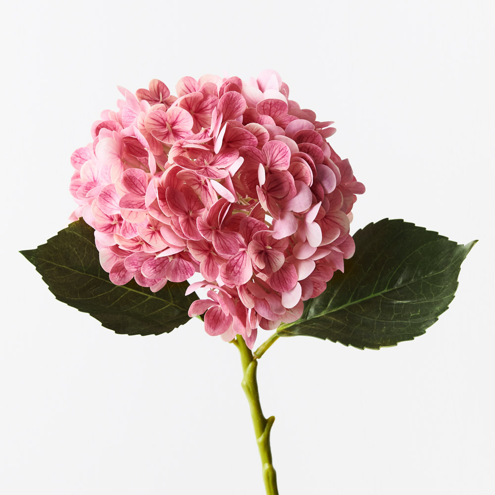 Hydrangea Pink Mauve Fresh Touch 49cml #FI9665PM - Each Bring warmth and vibrancy to your interior space with this gorgeous faux hydrangea. Easily maintained this gorgeous hydrangea flower stem will bring lasting beauty into your home or office space. Create a one of a kind arrangement mixing with other stems or place in a decorative vase on its own. For longer lasting artificial flower stems keep out of direct sunlight. This artificial hydrangea is in our ‘Fresh Touch’ range which means the flower petals and heads have a realistic soft "feel", almost natural.