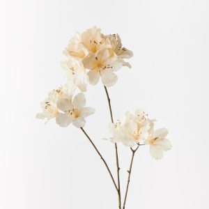 Azalea Spray Cream 86cml  Evoking the spirit of spring the Azalea promises an everlasting burst of floral splendour, infusing timeless beauty into your space.