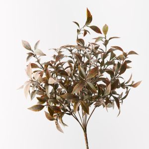 Ruscus Bush Grey Brown 38cml Finely detailed this artificial Ruscus bush is amazingly realistic. With minimal maintenance this faux Ruscus bush can offer enduring beauty and bring warmth and vibrancy to your home or interior space. Easily style this Ruscus bush with other plants and bushes from our extensive range of artificial greenery to create your very own indoor oasis.  (Not suitable for outdoor use).