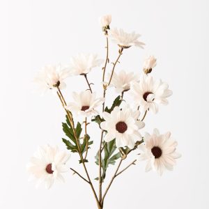 Daisy Spray Cream 68cml Introducing our lifelike artificial Daisy Spray in a soft cream hue. Make this daisy spray sit pretty styled in a bunch, or style with other eye catching florals.