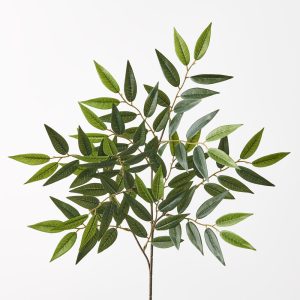 Ruscus Leaf Spray Green 67cml The Ruscus Leaf Spray embodies natural elegance with its lifelike foliage and delicate allure. Ideal for floral arrangements or standalone decoration, its authentic design brings a touch of greenery to any space, effortlessly enhancing ambiance and style.