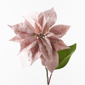 Christmas Poinsettia Stem Velvet Light Pink 71cml #FI9852LP - Each Presenting our Light Pink Velvet Poinsettia for a truly enchanting Christmas. Crafted with luxurious velvet petals and adorned with glitter finishes, each bloom embodies festive elegance, adding a touch of holiday magic to your decor.
