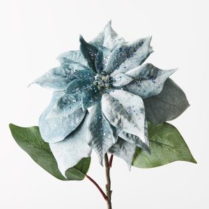 Christmas Poinsettia Stem Velvet Sky Blue 71cml #FI9852SKY - Each Presenting our Sky Velvet Poinsettia for a truly enchanting Christmas. Crafted with luxurious velvet petals and adorned with glitter finishes, each bloom embodies festive elegance, adding a touch of holiday magic to your decor.