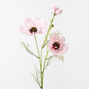 Coreopsis Spray Light Pink 76cml  Illuminate any room with the radiant charm of our light pink artificial Coreopsis Spray. Each lifelike blossom captures the essence of summer's golden hues. Bring warmth and joy to your décor with this exquisite botanical creation.