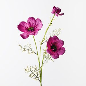 Coreopsis Spray Plum 76cml  FRESH TOUCH Illuminate any room with the radiant charm of our Plum artificial Coreopsis Spray. Each lifelike blossom captures the essence of summer's golden hues. Bring warmth and joy to your décor with this exquisite botanical creation.