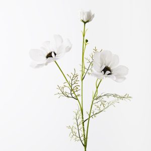 Coreopsis Spray White 76cml  FRESH TOUCH Illuminate any room with the radiant charm of our White artificial Coreopsis Spray. Each lifelike blossom captures the essence of summer's golden hues. Bring warmth and joy to your décor with this exquisite botanical creation.