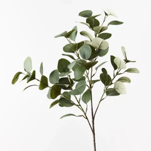 Eucalyptus Spray Grey Green 70cml Introducing our Eucalyptus Spray in a sophisticated grey-green hue, an elegant and versatile accent for any decor. This artificial spray features realistic leaves with subtle grey undertones, capturing the natural beauty and texture of real eucalyptus. Perfect for adding a touch of muted, chic greenery to your home or event, this Eucalyptus Spray complements a wide range of styles. Whether displayed alone or incorporated into a floral arrangement, it offers timeless charm and maintenance-free beauty.